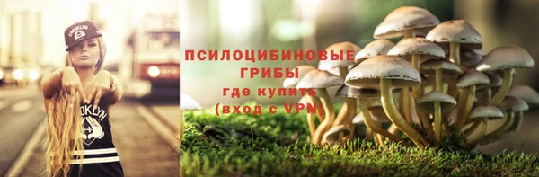 ECSTASY Заводоуковск