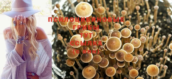 дживик Заволжск