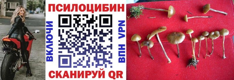 Купить  Мичуринск  Псилоцибиновые грибы Magic Shrooms 